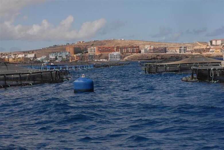 Granja marina de Salinetas/TA.